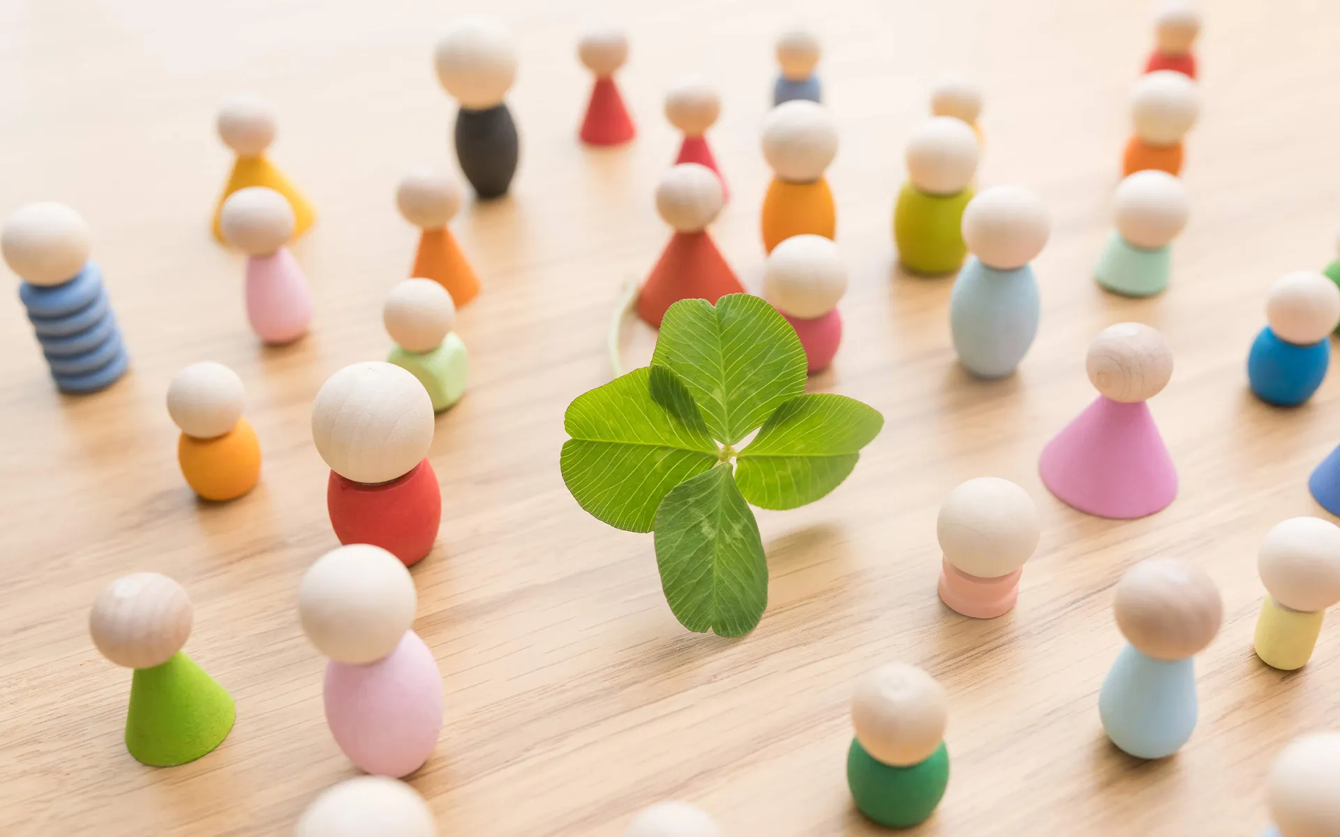 有限会社TMクラウン